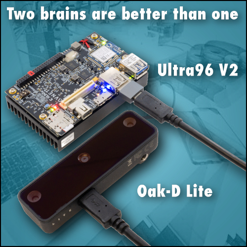 Two brains are better than one…