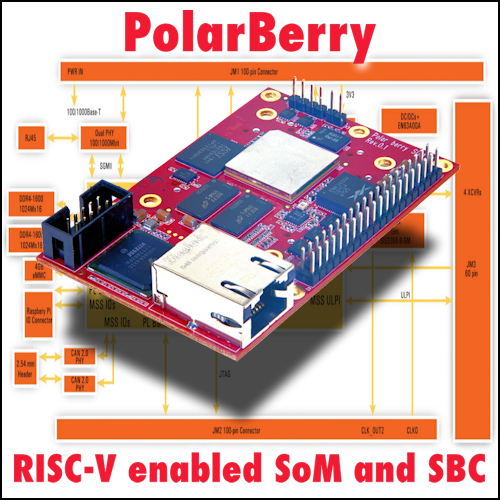 PolarBerry