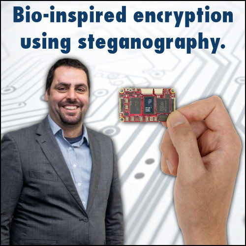 Bio-inspired encryption using steganography